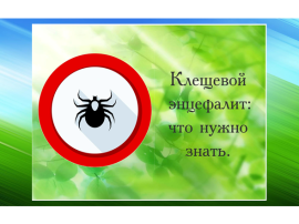 Клещевой энцефалит Клещевой энцефалит.